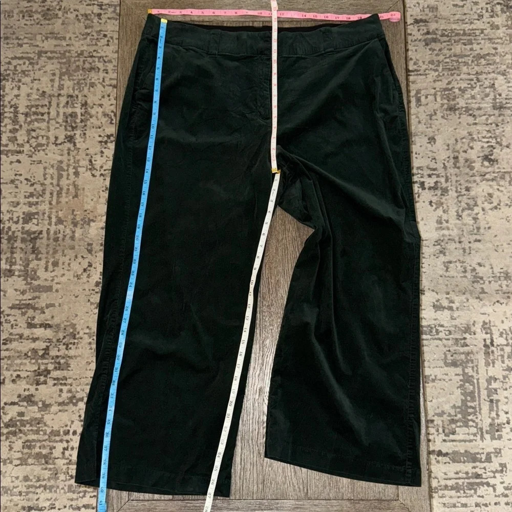 Lane Bryant Corduroy Trouser Pants in Green 22 Short